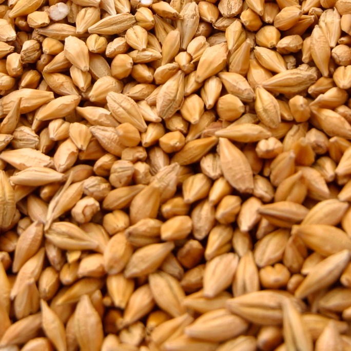 Qarabağ 22
(Yemlik)